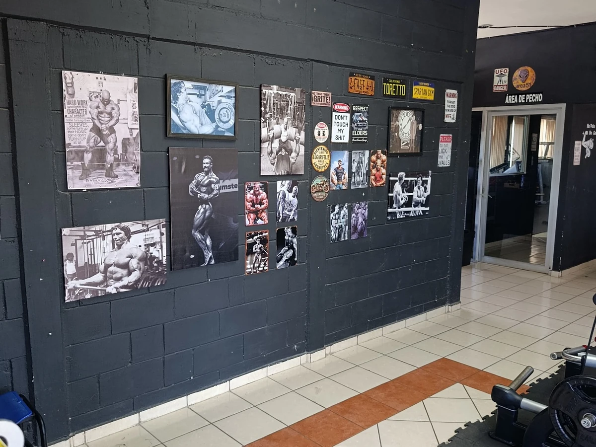 Área de pecho y decoración interior de Spartan Fitness