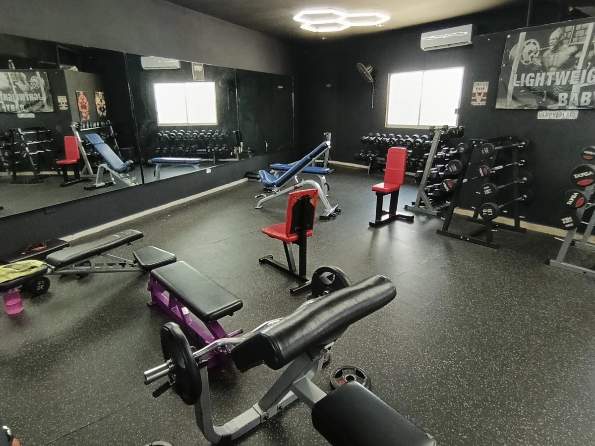 Zona de peso libre de Spartan Fitness