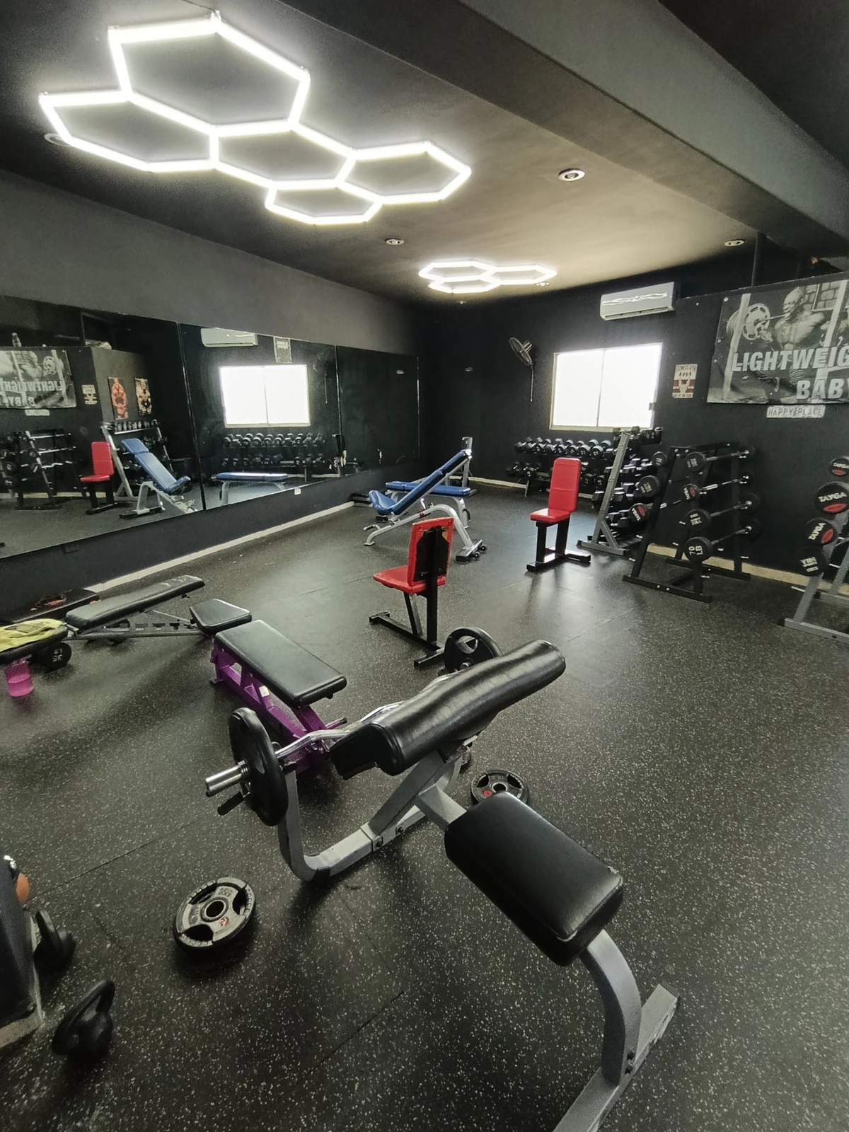 Área de mancuernas y bancos de Spartan Fitness